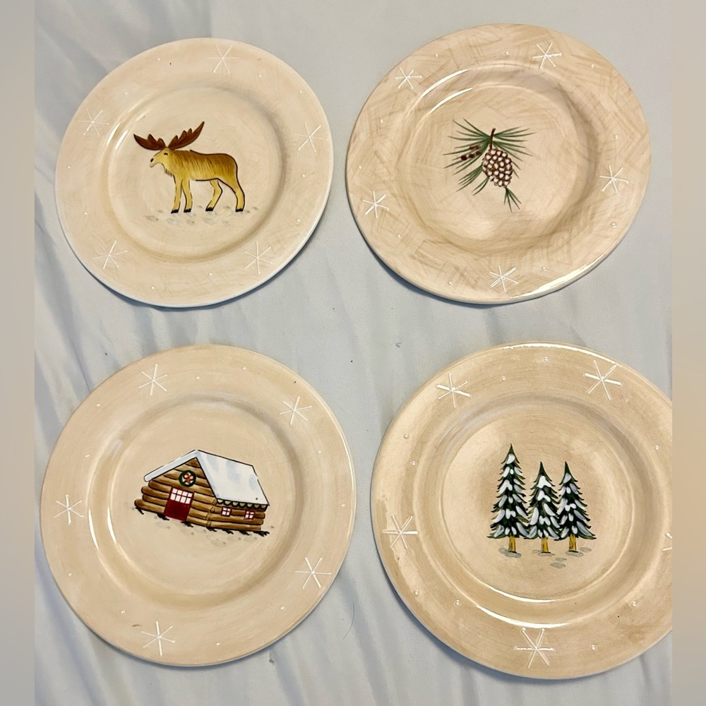 NIB Northwoods Collection 4 assorted salad / dessert plates. 8.25”
